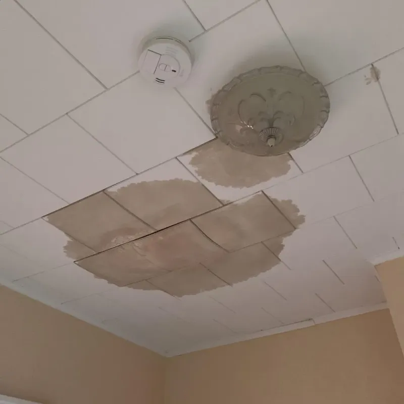 Ceiling Water Damage Repair in Cross Mountain, TX