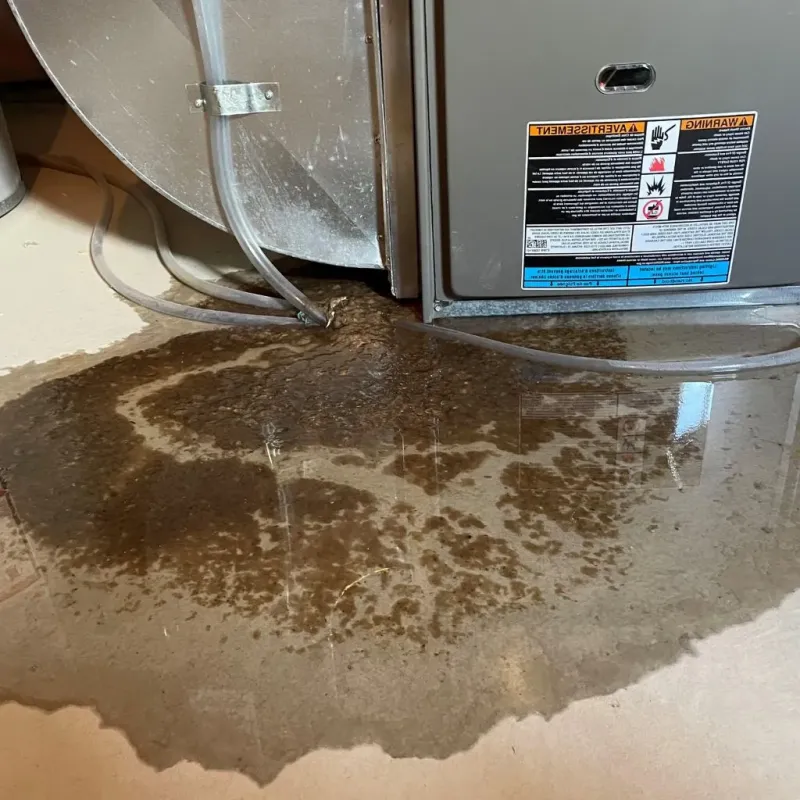 Pipe Burst and Leak Restoration in Cross Mountain, TX
