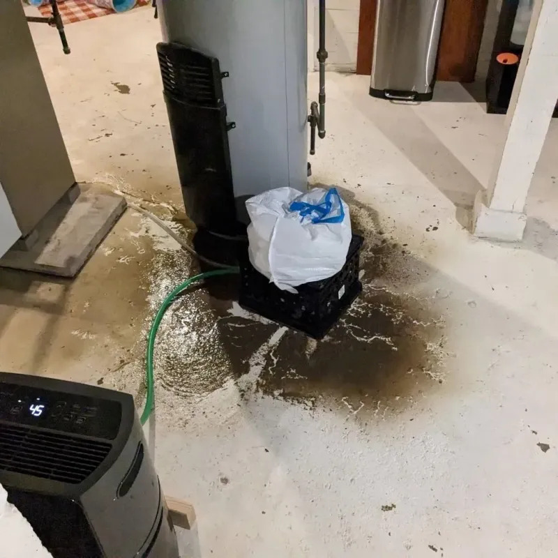 Sewage Backup Cleanup Service in Cross Mountain, TX